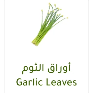 أوراق الثوم