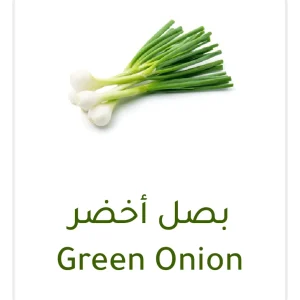 بصل أخضر