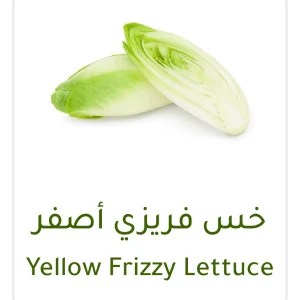 خس فريزي أصفر