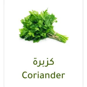 coriander