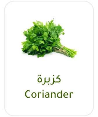 coriander
