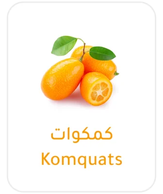 Kumquat