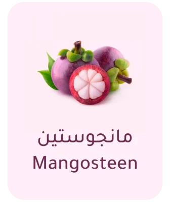 mangosteen