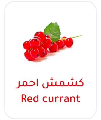 red currant