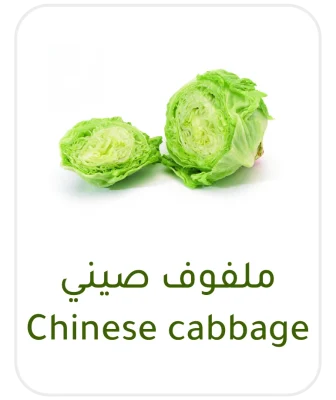 Chinese cabbage