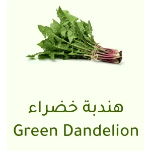 هندبة خضراء