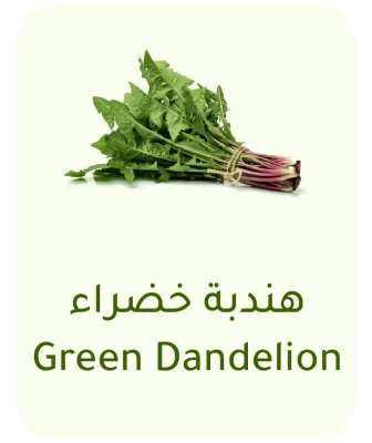green chicory